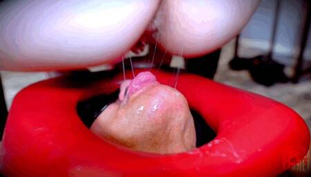 Chocolate CreamPie Cuck (HD 4K MP4)