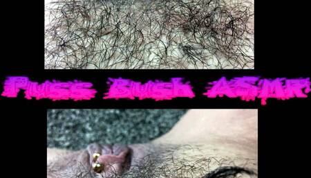 Puss Bush ASMR