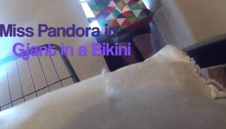 Giant in a Bikini (low-res MP4)