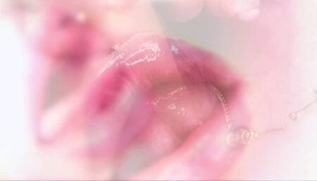 BIMBO LIPS TRANCE (Mobile Version)