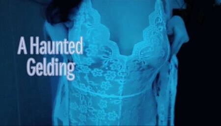 Haunted Gelding (ID #582 HD 1080)