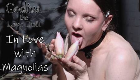 In Love With Magnolias