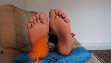 Dolce Amaran enjoy a delicious feather tickling FOR DEVICES MOBILE - BBW - BAREFFOT - TCKLES - TICKLING - FEATHER - LAUGHTER - GIGGLING - WINGGLING TOES