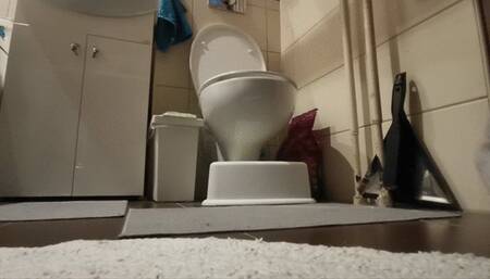 QUICK Toilet Compilation - reup (BIG Sale for my all toilet Compilations) - check it out