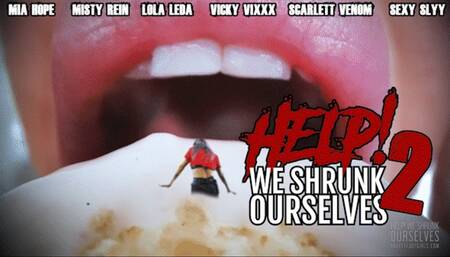 Help! We Shrunk Ourselves 2 - 6 Girl EPIC - HD 1080p MP4