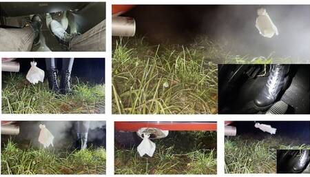 Ms Curious encounters a Ghost - Hard Revving Halloween Part 2