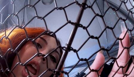 Bedtime Snack (1080HD)