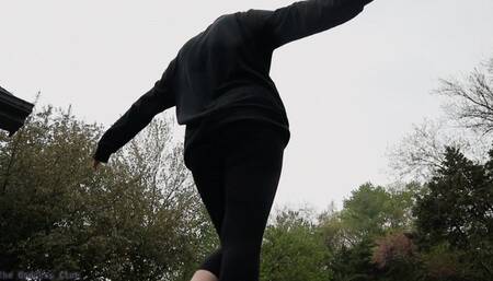 A Rainy Day in My Garden - HD