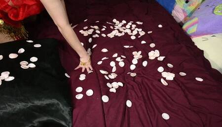 Seductive NIght with Primrose