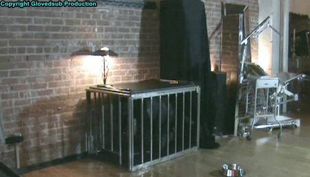 Taking care of her gimp puppy MP4 Full HD (1080p) starring Goddess Starla