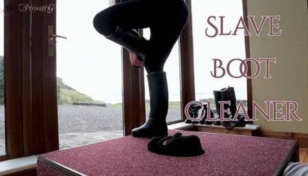 slave Boot Cleaner