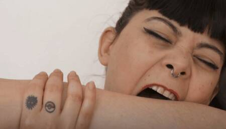 morsi senza sosta - bites nonstop