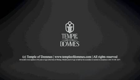 Treat for the Latex Gloved CatWoman