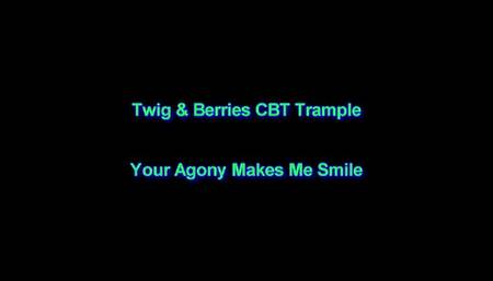 Your Agony Makes Me Smile