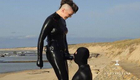 Strap on Sucking at the Ocean