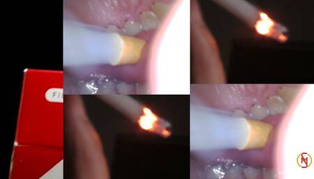 Marboro red 100 inside out