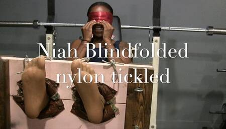 Niah Blindfolded in the STOCKS! " Yes,,omg YES!!"