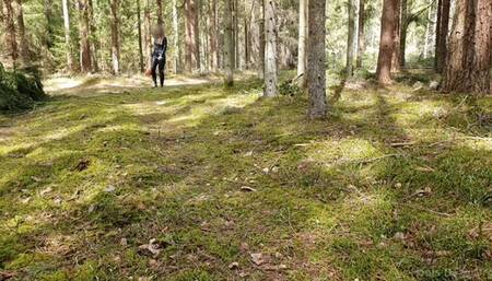 Tons of Fruits Crush in the Forest