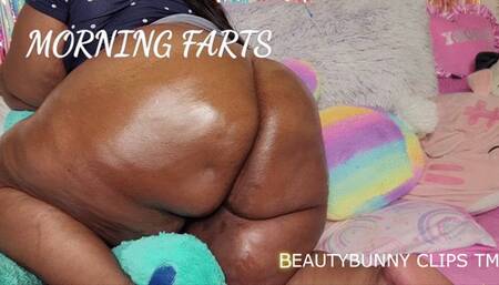 MORNING FARTS