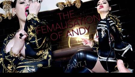 THE FEMINISATION OF ANDY