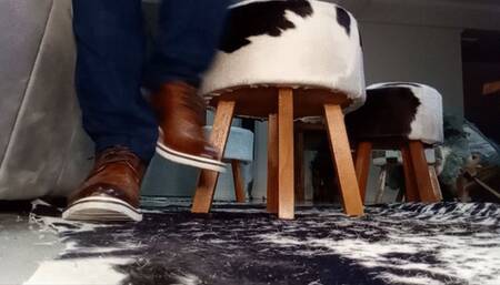 Mister B and his leather shoes and black feet - #2