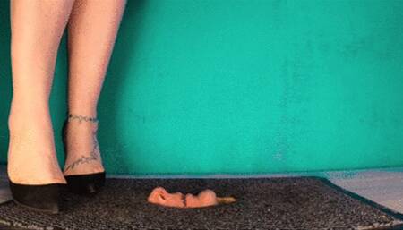 CC - Cruelty , your're just a doormat , extreme