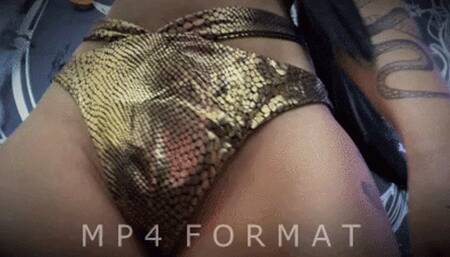 Spend on Shiny Pussy (HD) MP4
