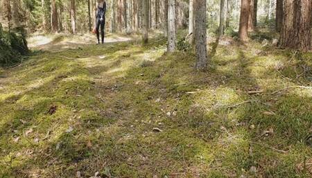 Tons of Fruits Crush in the Forest WMV