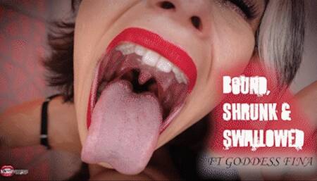 Bound, Shrunk, & Swallowed Ft Goddess Fina - HD MP4 1080p Format