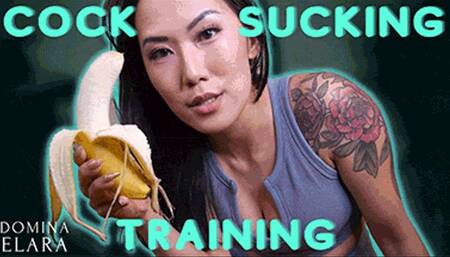 Cock Sucking Training 101