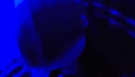 Milf Sucks My Pierced Cock