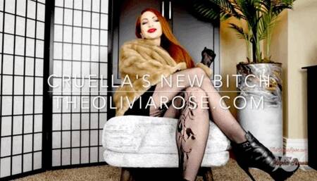 Cruella's New Bitch (MP4 1080p)