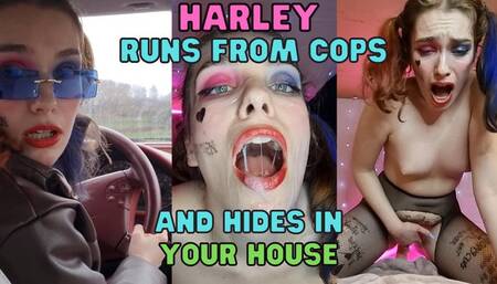 Harley Quinn Runs From Cops POV FUCK