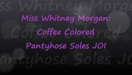 Whitney Morgan: Coffee Berkshire Pantyhose Soles JOI