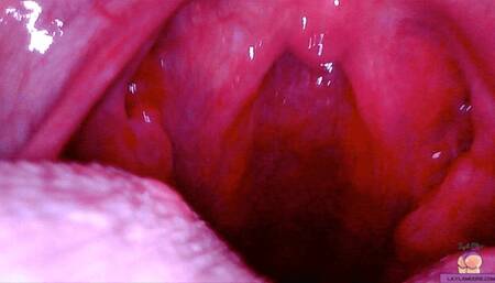 You Are Shrunken and Consumed to Become One With Your Girlfriend Gia Love, with 3D animation, Ultra HD Endoscope, SFX, HD*