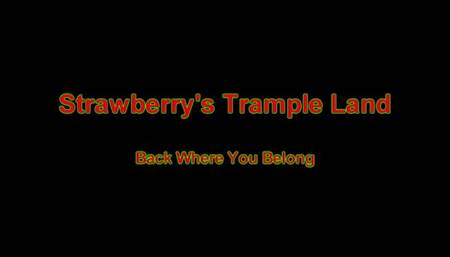 Back Where You Belong