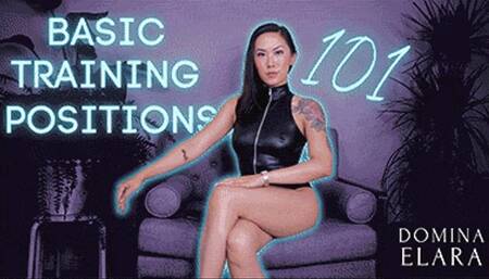 Basic Training Positions 101