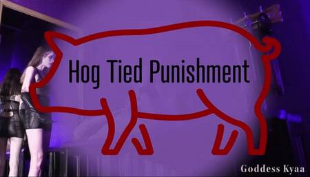 Hog Tied Punishment