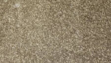 Secretary Bound and Gagged