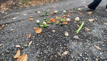 Soooo sexy flip flops flatten veggies and act out what they would do to my member