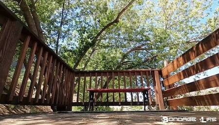 Yoga With Greyhound (Nature Edition)