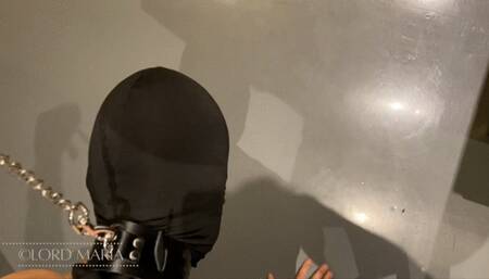 Locked and Stuffed Cuck