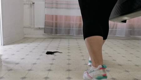 Aerobics with Toady - view 01