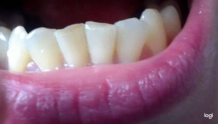 2 minutes teeth to cam no sound mp4