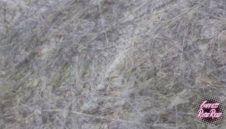 Toilet Trader (standard definition)