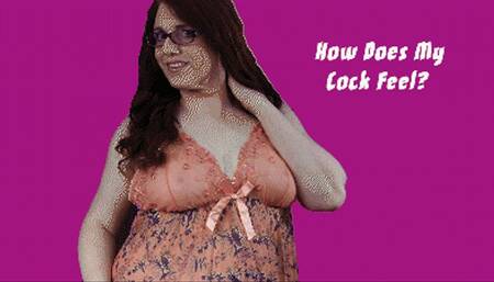 How Does My Cock Feel?