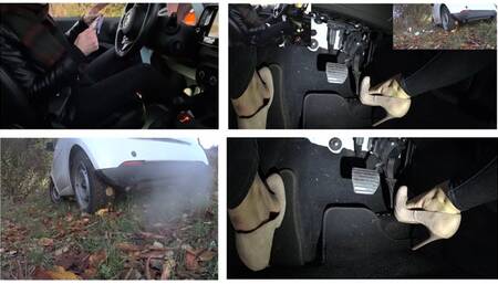 Ms Curious revving and littering