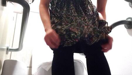 Public Toilet Chronicled Frustrations (mkv)