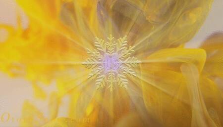 Worship Is The Only Way