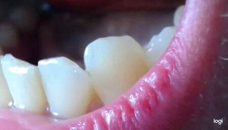 3 minutes of my canines to cam in close up no sound mp4